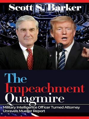cover image of The Impeachment Quagmire